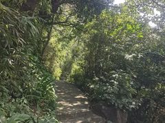 -南海湾森林生态园