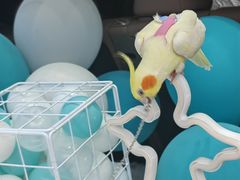 -蔚来体验中心(北京亦庄店)