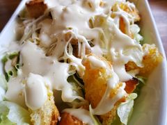 凯撒沙拉-百好乐宠物友好餐厅(朝外大街店)