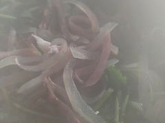 -河南红烧牛肉面(剑河路店)