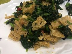 -尚品清汤羊肉