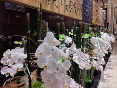 -北京四季酒店