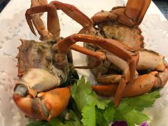 -友强·23年特色海鲜大排档(厦门店)