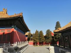 -北京市劳动人民文化宫(太庙)