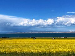 -青海湖国家重点风景名胜区