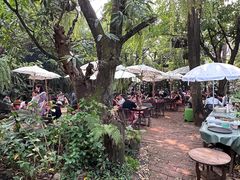 -Fern Forest Cafe