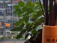 -楠火锅(仁恒梦中心店)