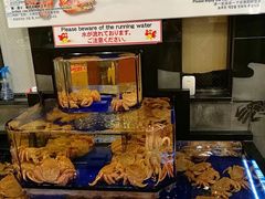 -蟹道乐(道顿堀本店)