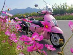 -旗利摩托(旧宫店)