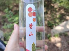 -香山公园