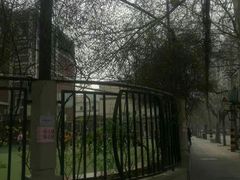 -岳阳道小学(大理道校区)