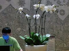 -三亚湾红树林度假世界(木棉酒店)