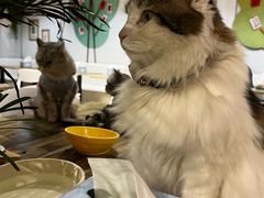 -小时光咖啡馆(北锣鼓巷店)