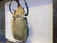 -上海昆虫博物馆