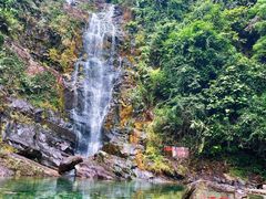 -鼎湖山风景区