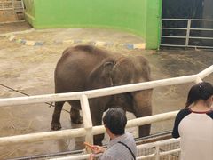 -大连森林动物园