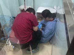 -瑞派申生动物医院·24H夜诊·国际动物医疗中心·骨外科(吴中路店)