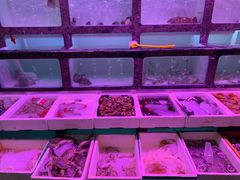水产区-长平肥姐白粥·海鲜打冷