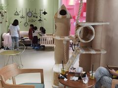 大堂-藏猫猫咖啡主题馆(中央大道店)