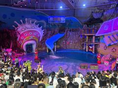 -烟台海昌鲸鲨海洋公园