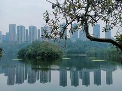 -重庆彩云湖湿地公园