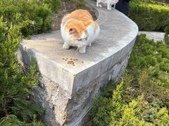 -四门塔风景区