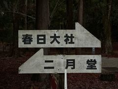 -奈良公园