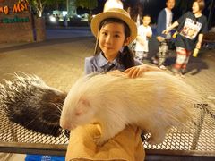 -清迈夜间动物园