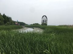 -太湖湖滨国家湿地公园-停车场
