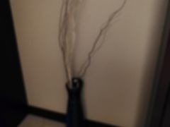 -泰华博悦大酒店