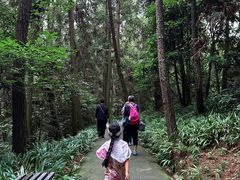 -窦圌山风景区