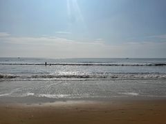 -日照海滨国家森林公园