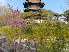 -迎泽公园