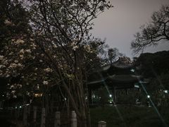 -柳侯公园