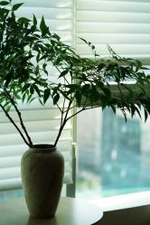 点击看大图 -栖SPA·ONDA ·美芙炫·海菲秀科技美肤中心