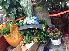 -秦美花卉(天朗·莱茵小城2期店)