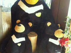 android_upload_pic-济州岛泰迪熊博物馆