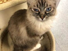 -爱诺耐芙动物医院(万博店)