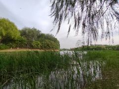 -大兴滨河森林公园