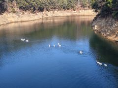 -千岛湖东南湖区