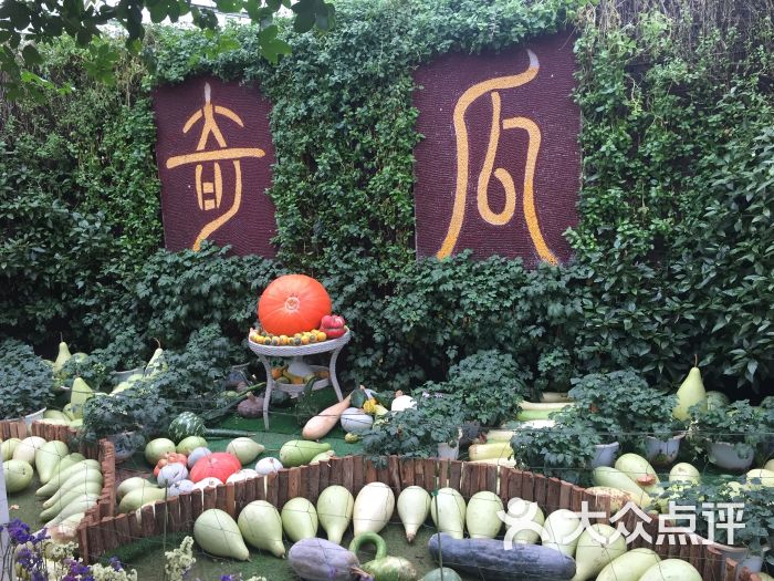 晨农农博园图片 - 第2张