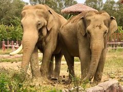 -沈阳森林动物园