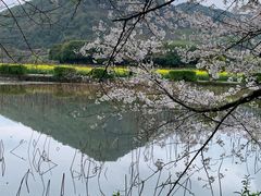 -八卦田遗址公园