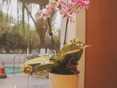 -琥珀咖啡 Ambercoffee