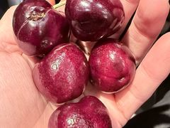 -大渔之观(安贞店)