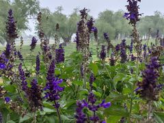 -汉长安城未央宫国家考古遗址公园