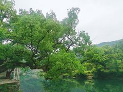 -上坦村