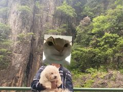 -磐安舞龙峡景区