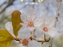 -西安市长乐公园
