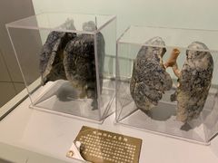 -陕西自然博物馆